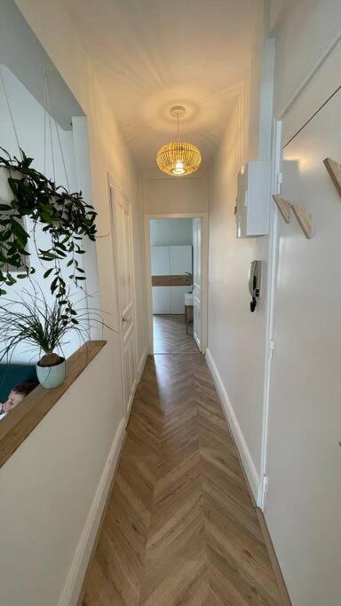 Cocon Douillet Pres De La Gare. Appartement Nancy Buitenkant foto